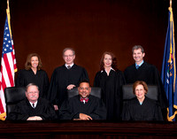 Michigan Supreme Court 2011