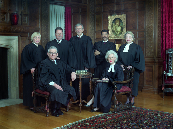 Michigan Supreme Court 1995
