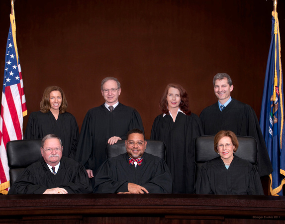 Michigan Supreme Court 2011